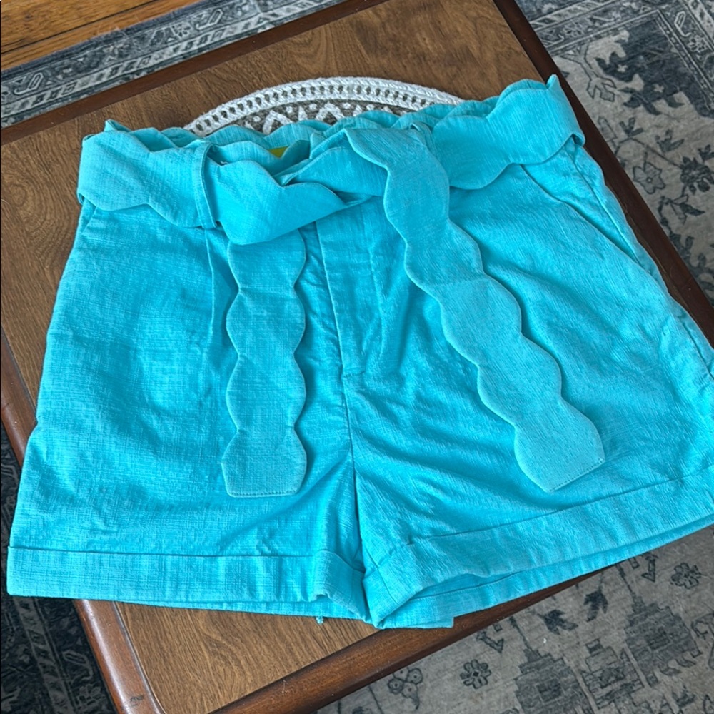 Elizabeth McKay (NWT) Belted Shorts-Size 0